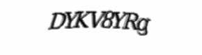 Security check image, please type the characters shown